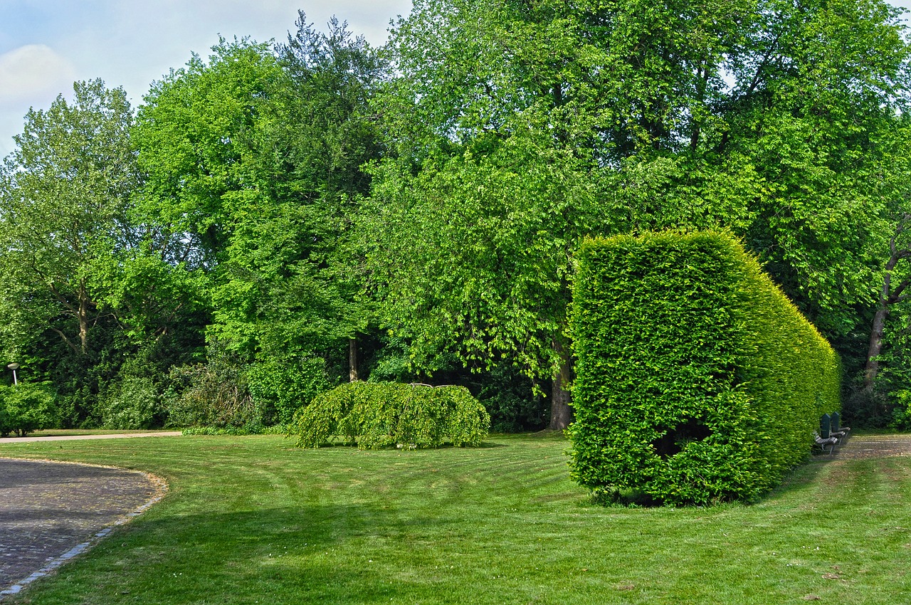 urban park, municipal park, green space-3410146.jpg